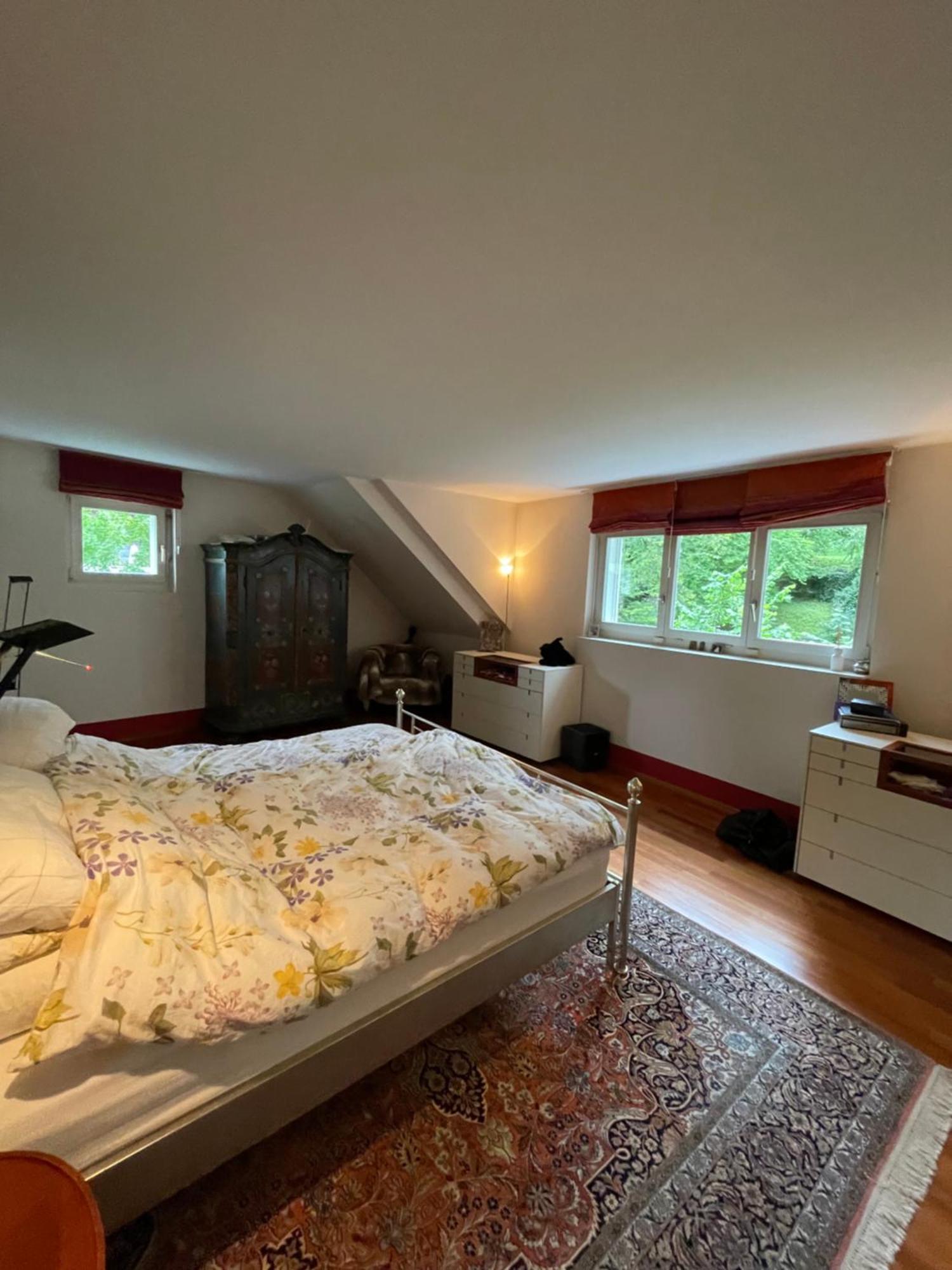 Spacious And Stylish In Zürich